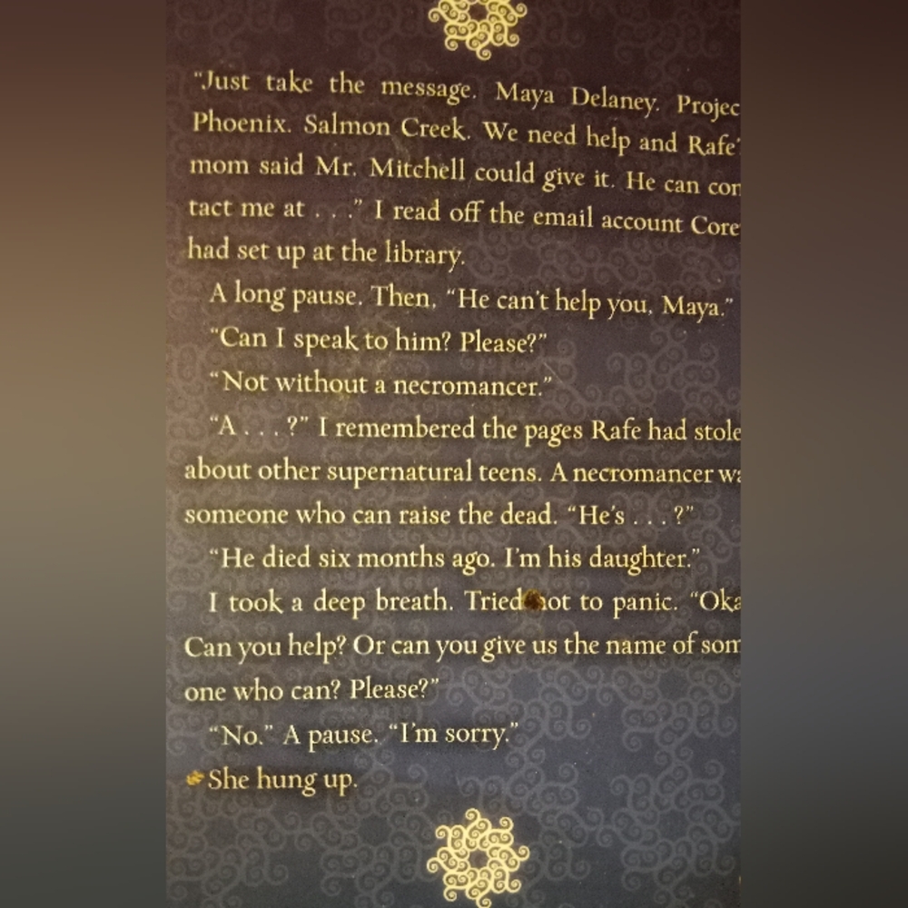 THE RISING BOOK - Picture 4 of 4